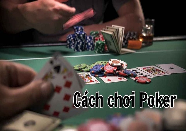 Cách chơi Poker cho người mới bắt đầu Cách chơi Poker cho người mới bắt đầu