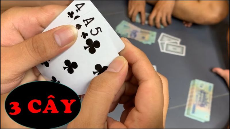Khám phá cách chia bài Ba Cây điểm cao cực hiệu quả Khám phá cách chia bài Ba Cây điểm cao cực hiệu quả